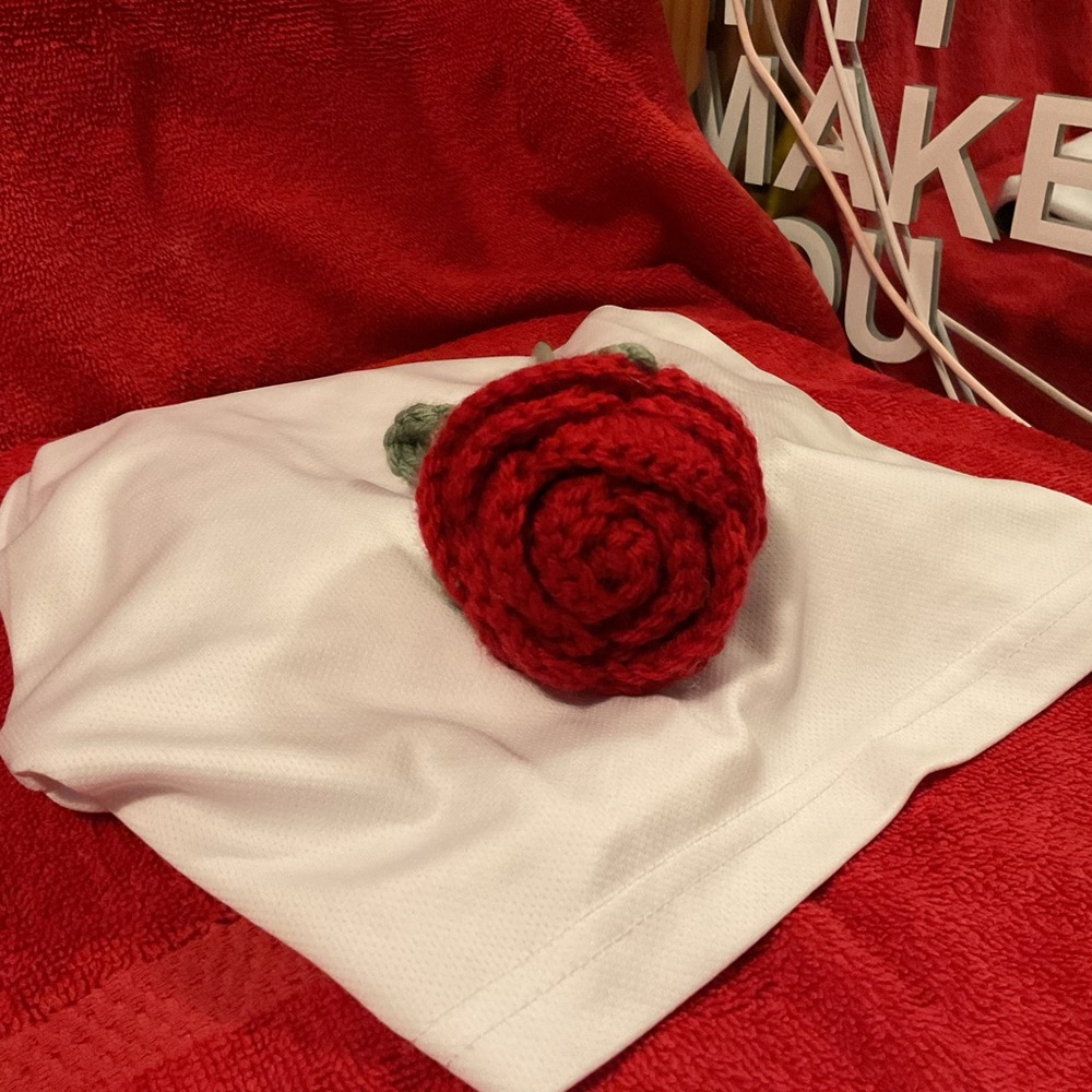 Roses - Picture 11 of 11